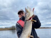 Pike Trio do well at Melview Fishing Lodge!