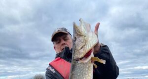 Pike Trio do well at Melview Fishing Lodge!