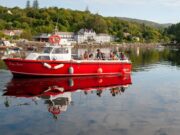 Looking to entertain the kids this Easter – bring them fishing! bantry bay charters