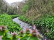 Irish Angling Update 🐟 6 April 2023 🎣