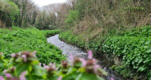Irish Angling Update π 6 April 2023 π£