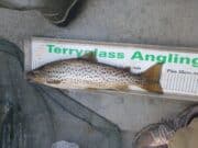 Great fishing on L. Derg for Terryglass Angling & Conservation Club