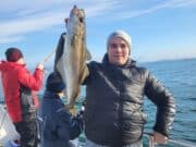 Pollack a Plenty in Galway Bay