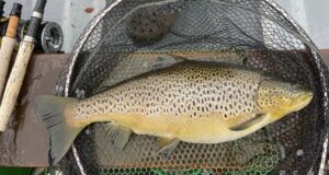 Weather dictates success on Corrib