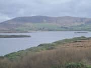 Some more springers reported from Carrowmore Lake