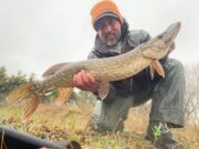 First Irish Pike on the fly for Italian guest of Melview Fishing Lodge!