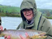 Huge double figure trout landed at Careysville