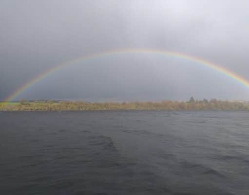 Windy weather hampers duck fly fishing on Arrow