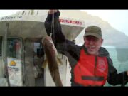 Fishing’s warming up, take a day on a charter boat