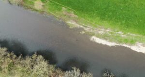 Fragile – Handle with care! Smolts running