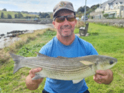 National Mullet Club – Irish Shield