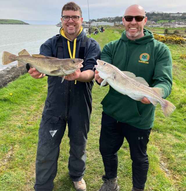pair of cod