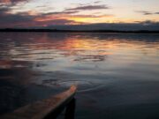 Irish Angling Update π£ 19 May 2023