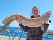 Settled sea makes specimens on distant wreck accessible for Silver Dawn