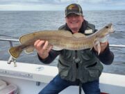 Some lovely fish on the reefs in Galway Bay