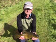 Tench save the day at All Ireland Canal Championships