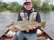 Lough Arrow sees good mayfly fishing with trout up to 8 lbs.