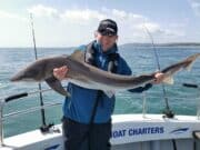 First specimen tope of the season for Wicklow Boats tope