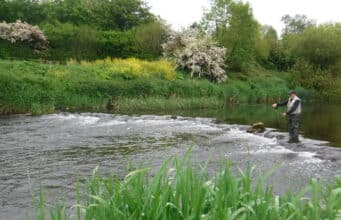 Low water tests trout anglers’ skills on the Maigue