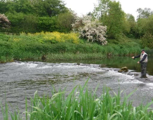 Low water tests trout anglers’ skills on the Maigue