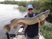 French Anglers do well with 186 Pike at Melview Fishing Lodge