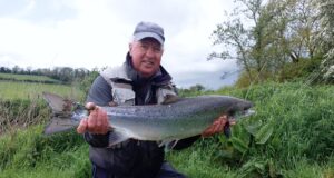 Slow last week on the Blackwater, but salmon caught in recent days Albert landing and releasing his first Blackwater salmon today at Cable Island