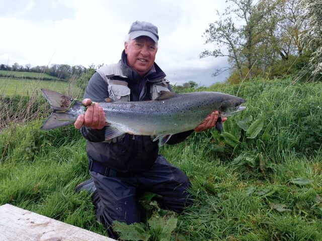 Albert landing and releasing his first Blackwater salmon today at Cable Island