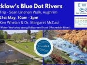Riverside Workshop on Wicklow’s Bluedot Rivers this Sunday Bluedot Event 21st May Aughrim Wicklow
