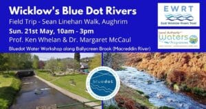 Bluedot Event 21st May Aughrim Wicklow