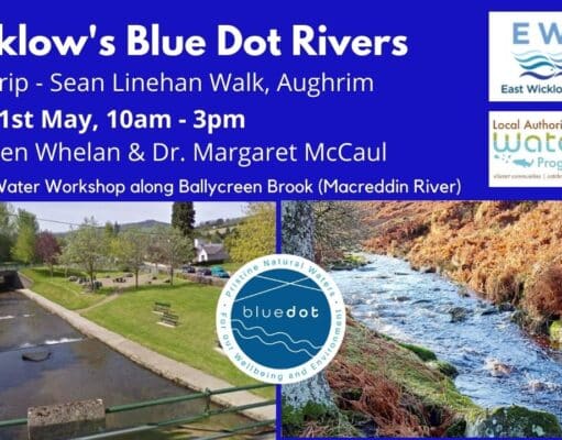 Bluedot Event 21st May Aughrim Wicklow