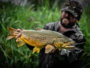 It’s not all about lake fishing when it comes to mayfly season…