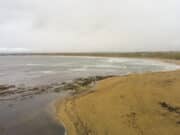 Big flounder but no bass at a wet Dooonbeg for Galway Bay SAC