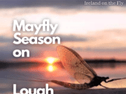Ireland on the Fly talks Sheelin’s Mayfly season