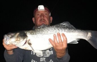 Bass return to Wexford shores Jonathan with a beautiful Bass