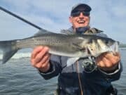 Good bass on fly and lure for Kerry anglers bass