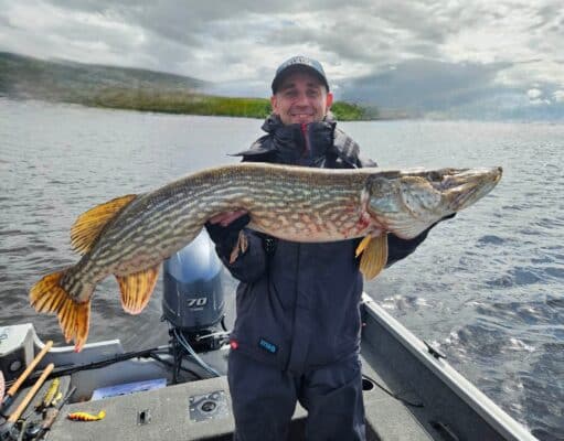 Pike to 119cm for Tulla anglers 119cm pike