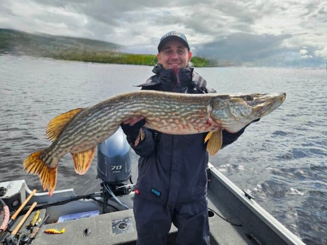 Marcin 119 (1) 119cm pike