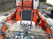 IFI welcomes conviction for Youghal fisherman convicted of illegal netting seized net