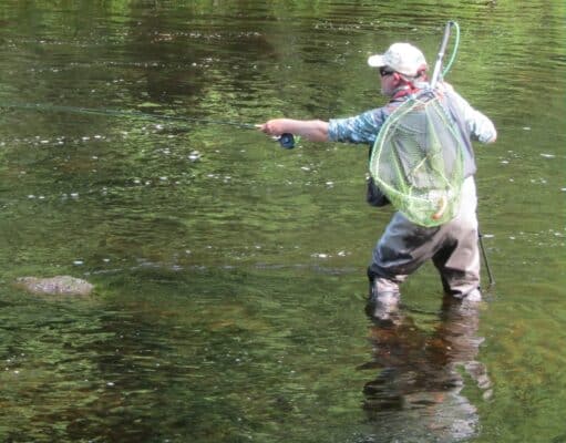 Great fishing for anglers in TAFI Leinster River Championships on Avonmore