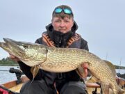 Great predator fishing reported from Derg Senan Stanely with this sunset pike