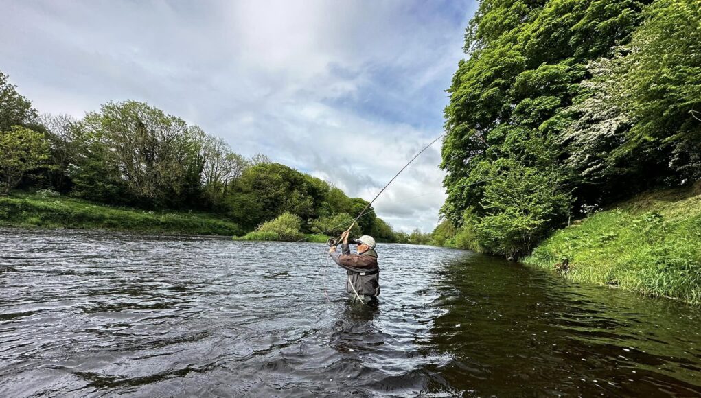 The River Blackwater is coming into perfect May conditions. at Blackwater Salmon Fishery