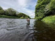 Salmon angling on the Munster Blackwater picking up The River Blackwater is coming into perfect May conditions. at Blackwater Salmon Fishery