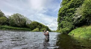 The River Blackwater is coming into perfect May conditions. at Blackwater Salmon Fishery