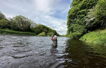 Another quiet week on the Munster Blackwater The River Blackwater is coming into perfect May conditions. at Blackwater Salmon Fishery