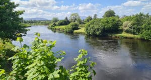 Cold winds and low temperatures keep angling quiet on the Moy The River Moy in Foxford
