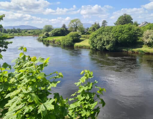 The River Moy in Foxford