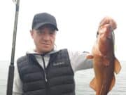 Good catches of cod, pollack and wrasse for anglers aboard the Fiona Tee