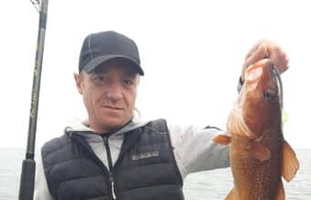 Good catches of cod, pollack and wrasse for anglers aboard the Fiona Tee