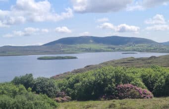 Seven salmon reported from Carrowmore