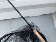 Two first-time bass from Cork Harbour!